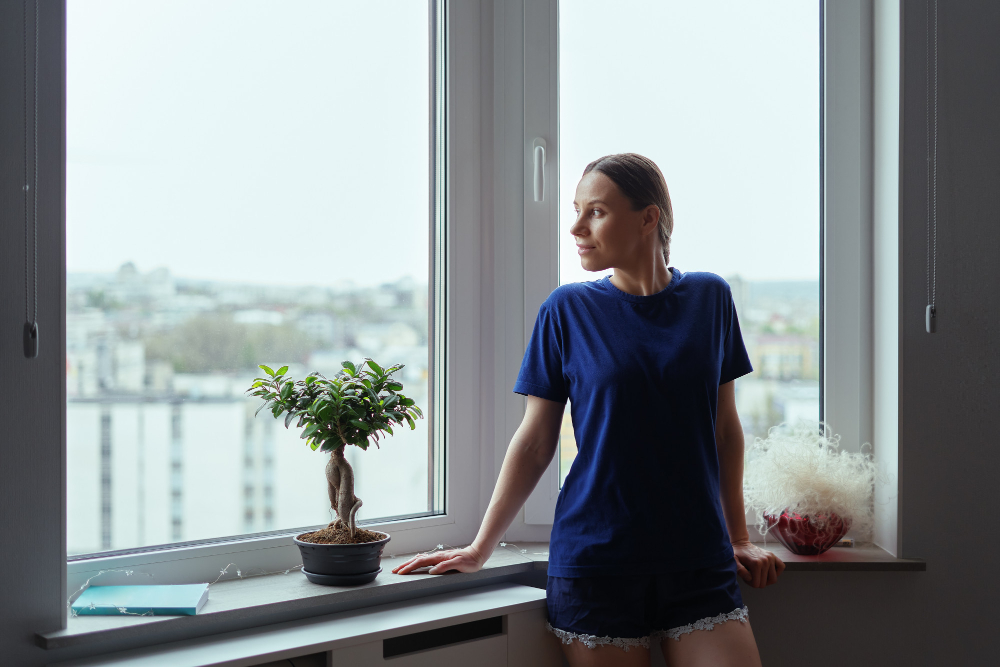 Albany Window Styles